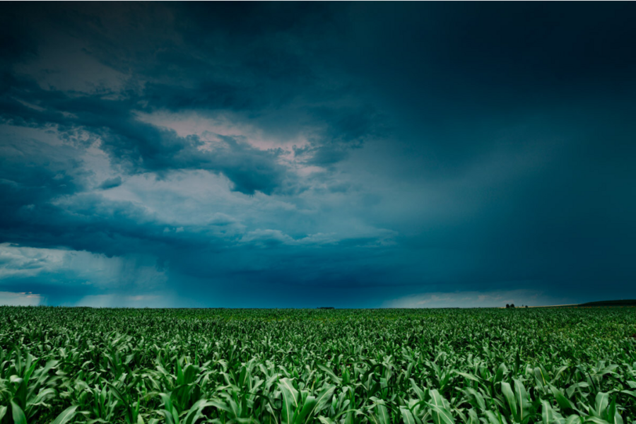 modificacoes-climaticas-e-a-repercussao-nos-segmentos-sociais