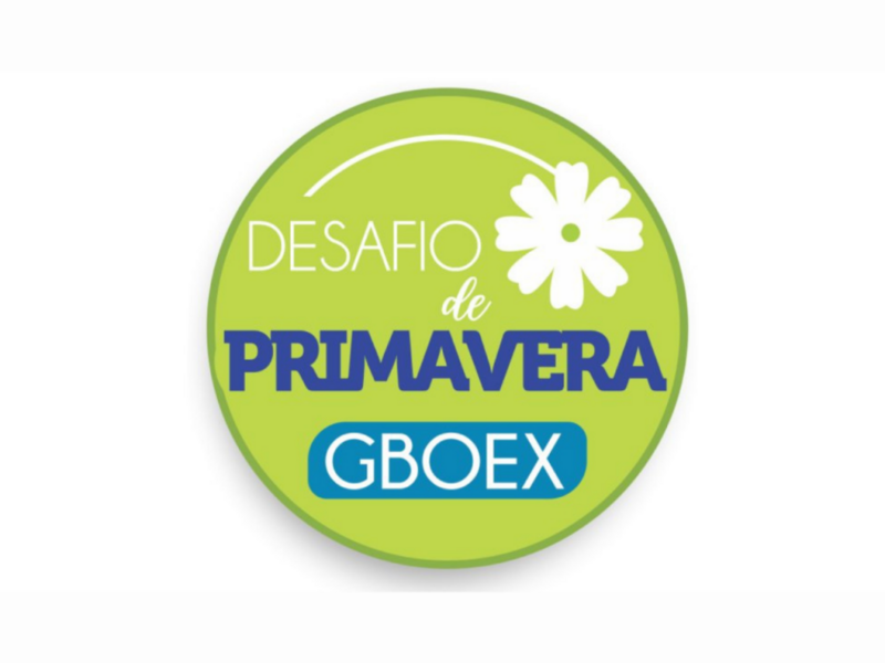 gboex-premia-corretores-no-desafio-de-primavera
