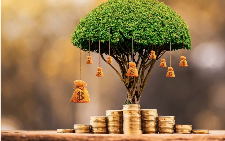 advogado-da-agrifoglio-reflete-sobre-a-reforma-da-previdencia-e-a-necessidade-do-planejamento-previdenciario