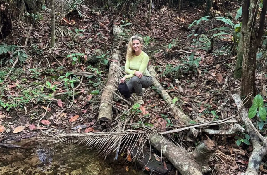 future-climate-e-aon-lancam-seguro-de-creditos-de-carbono-inedito-no-brasil