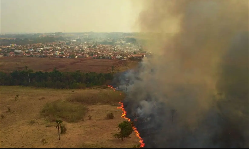 seguro-contra-queimadas-veja-as-coberturas-para-casas-lavouras-e-carros-destruidos