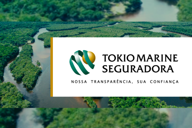 casa-do-seguro-vai-liderar-discussoes-sobre-papel-do-setor-no-debate-sobre-mudancas-climaticas-na-cop30-avalia-diretora-da-tokio-marine