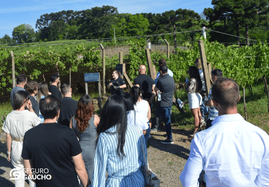 icatu-celebra-parceiros-no-vale-dos-vinhedos-com-experiencia-de-valorizacao-e-encantamento