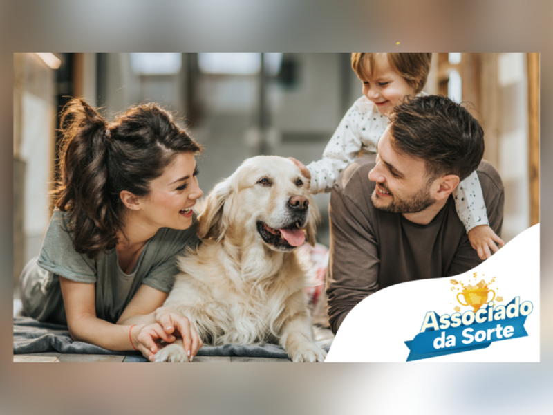 associado-da-sorte-do-gboex-valoriza-clientes-e-corretores