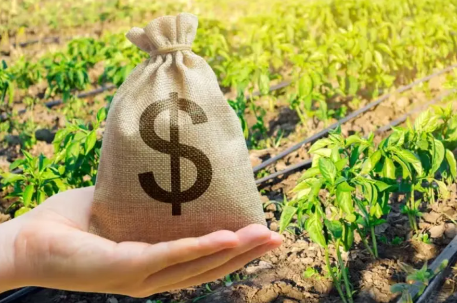 viuva-de-trabalhador-que-morreu-em-acidente-de-trator-recebera-seguro-dpvat