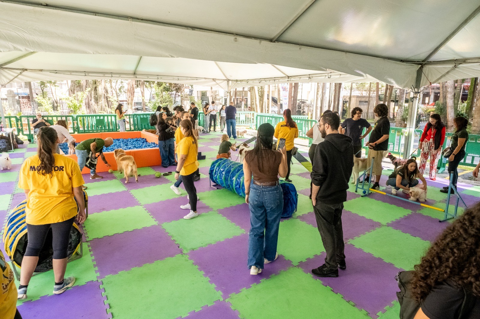 WhatsApp Image 2026-02-02 at 07.51.36 (2).jpeg