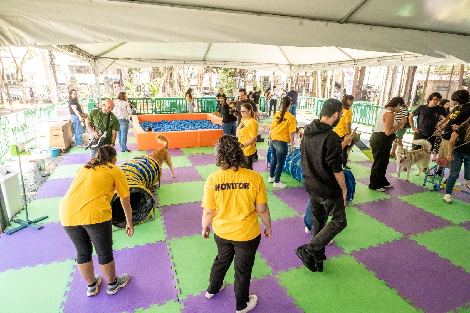 WhatsApp Image 2026-02-02 at 07.51.36.jpeg