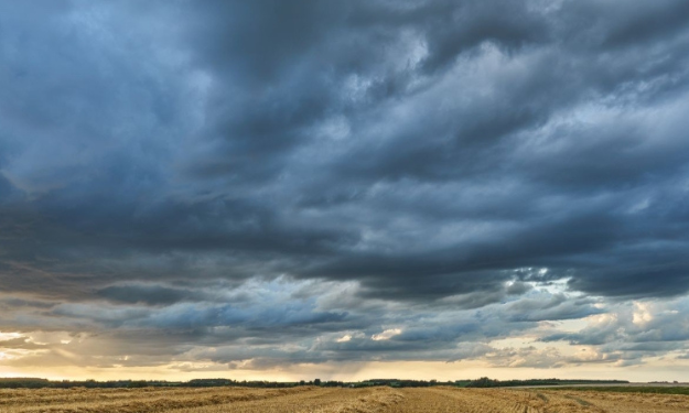 eventos-climaticos-extremos-sob-efeito-do-el-nino-reposicionam-o-seguro-no-brasil