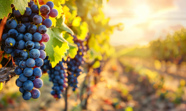 de-redes-gastronomicas-a-industria-global-empresas-que-avancam-entendem-a-protecao-como-base-do-negocio