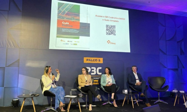 fenacap-acompanha-debate-sobre-garantias-em-projetos-de-infraestrutura-durante-o-forum-p3c