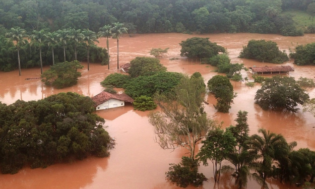 bradesco-seguros-inicia-operacao-especial-para-segurados-da-zona-da-mata-de-minas-gerais