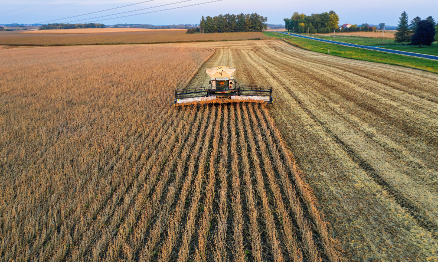 transicao-da-safra-reforca-importancia-de-monitoramento-socioambiental-no-seguro-rural