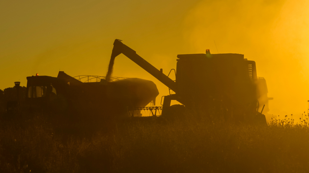webinario-discute-el-nino-e-impactos-para-a-producao-agricola-brasileira
