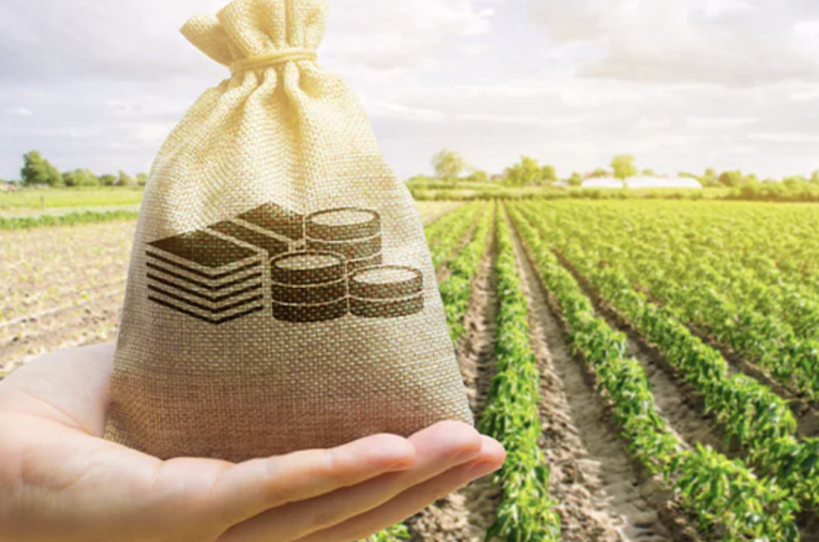 fundos-voltados-ao-agro-industria-e-comercio-lideram-novas-estruturacoes-de-fidcs-no-primeiro-semestre