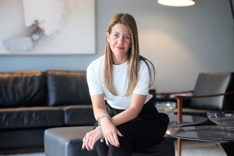 cnseg-propoe-uso-de-experiencia-brasileira-para-fortalecimento-de-mercado-de-seguros-global