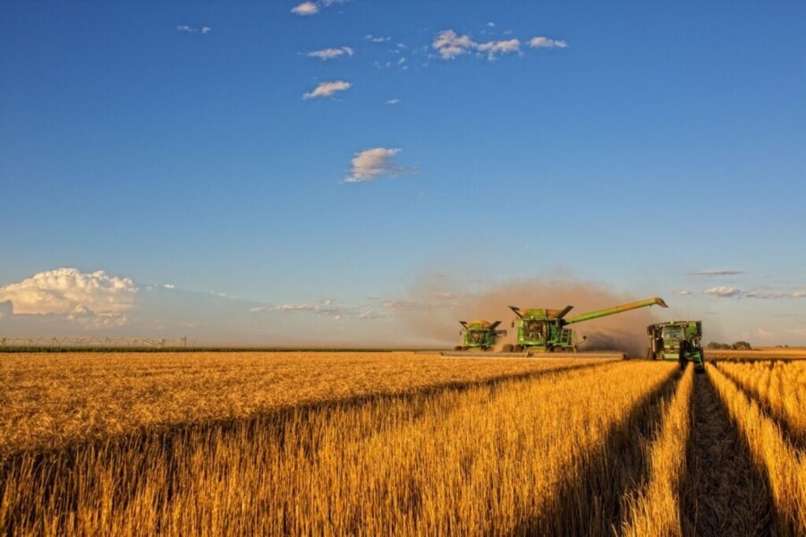 seguro-parametrico-ganha-espaco-no-mercado-segurador-do-brasil