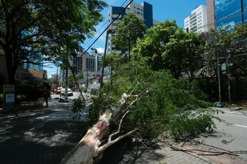 o-efeito-das-quedas-de-energia-para-a-bradesco-seguros