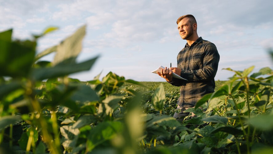 mapfre-quer-corretores-para-vender-seguro-rural