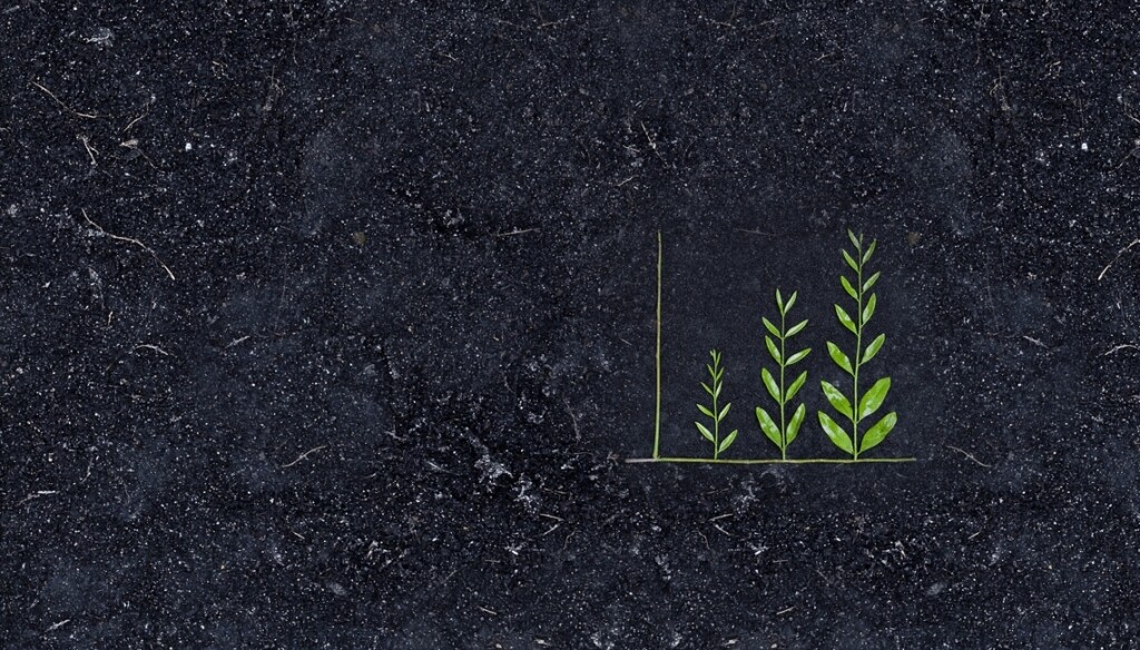 na-semana-do-meio-ambiente-liberty-seguros-anuncia-acoes-com-foco-em-asg